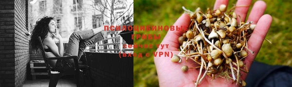 герыч Верея