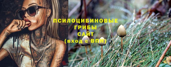 PSILOCYBIN Верхний Тагил
