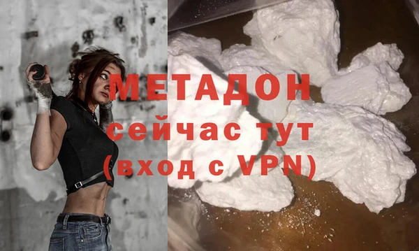 прущие грибы Осинники