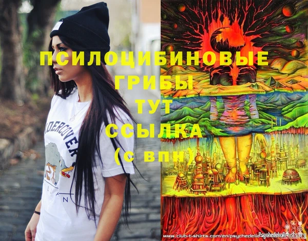 прущие грибы Осинники